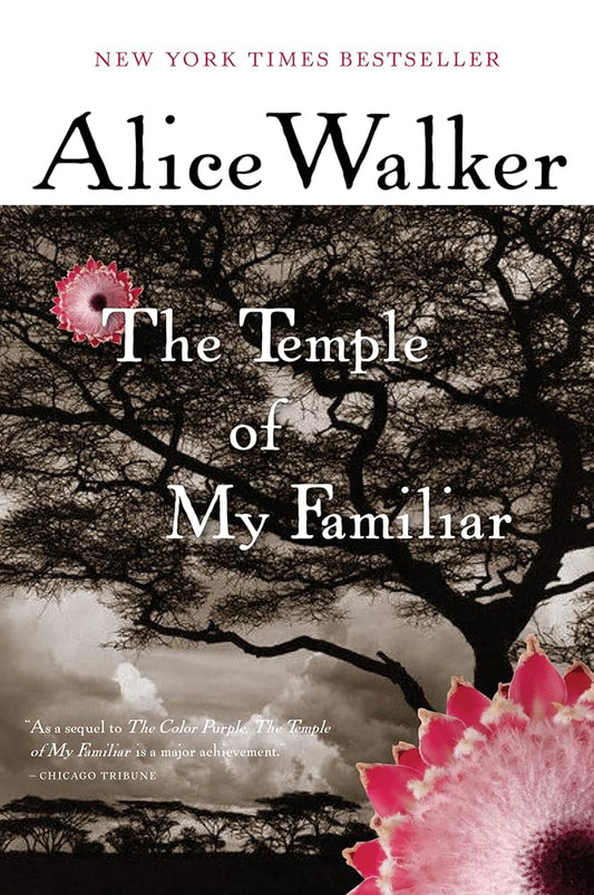 The Temple Of My Familiar cover image