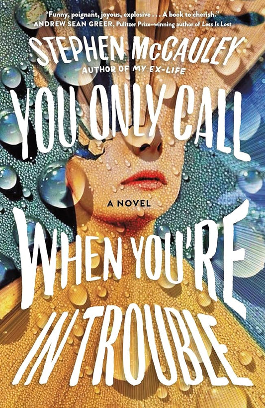 You Only Call When You're in Trouble: A Novel cover image