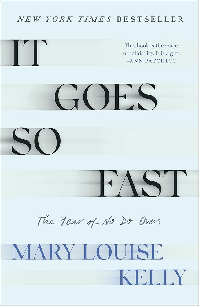 It Goes So Fast: The Year of No Do-Overs cover image